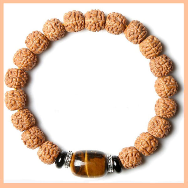 Rudraksha Seeds Tiger Eye Bracelet 5